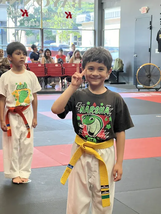 ATA Bayonne Martial Arts Picture 4