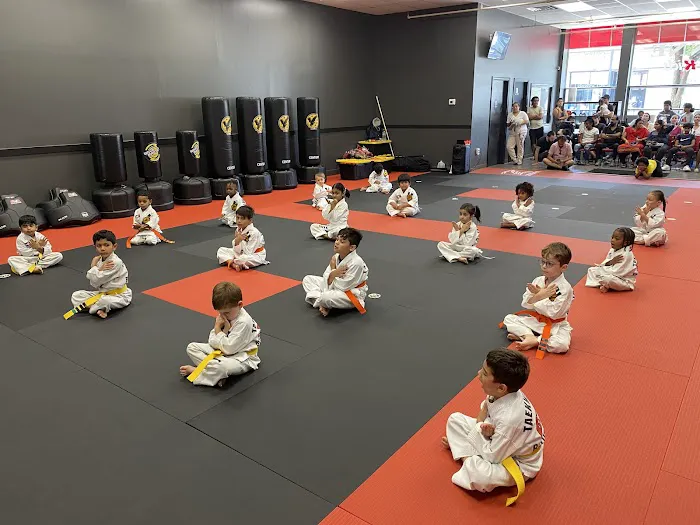 ATA Bayonne Martial Arts Picture 6