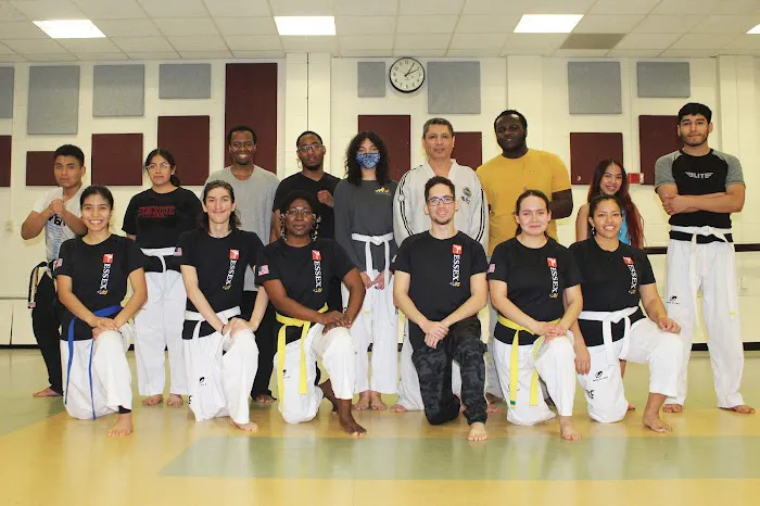International Taekwon Do Academy Picture 2