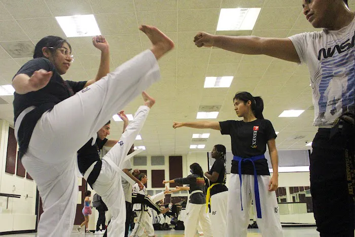 International Taekwon Do Academy Picture 10