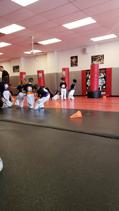 Tiger Schulmann's Martial Arts (Middle Village, NY) Picture 2