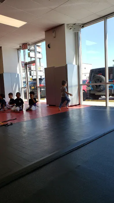 Tiger Schulmann's Martial Arts (Middle Village, NY) Picture 4