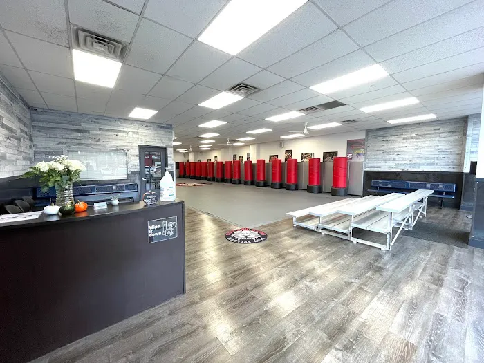 Tiger Schulmann's Martial Arts (Middle Village, NY) Picture 6
