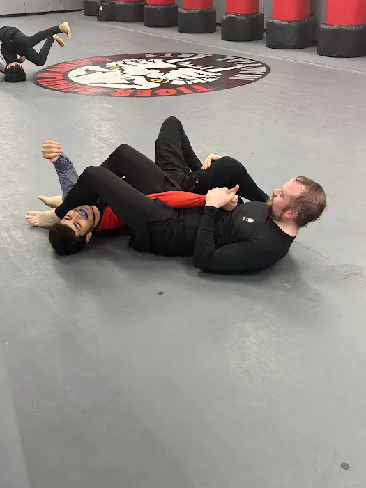Tiger Schulmann's Martial Arts (Middle Village, NY) Picture 8