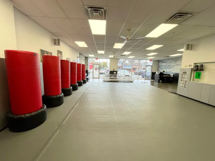 Tiger Schulmann's Martial Arts (Middle Village, NY) Picture 10