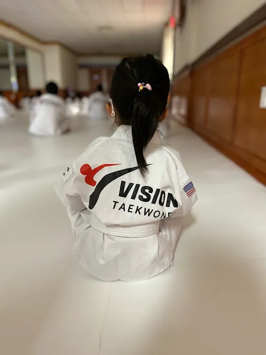 Vision Taekwondo Rego Park Picture 7