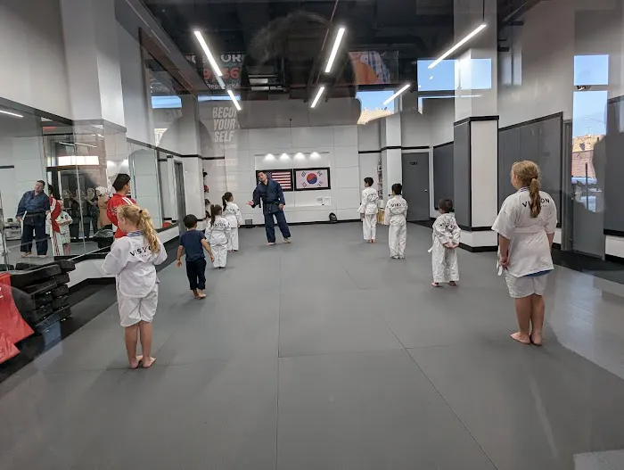Vision Taekwondo Rego Park Picture 4