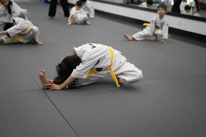 Vision Taekwondo Rego Park Picture 5