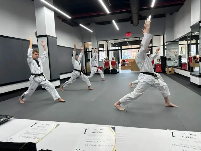 Vision Taekwondo Rego Park Picture 8