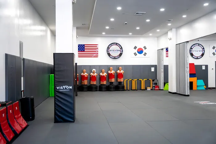 Vision Taekwondo Rego Park Picture 9