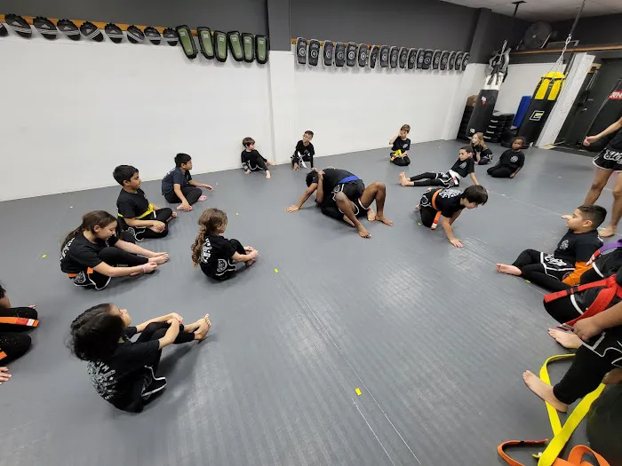 Glory Mixed Martial Arts Picture 2