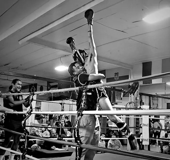 Glory Mixed Martial Arts Picture 6