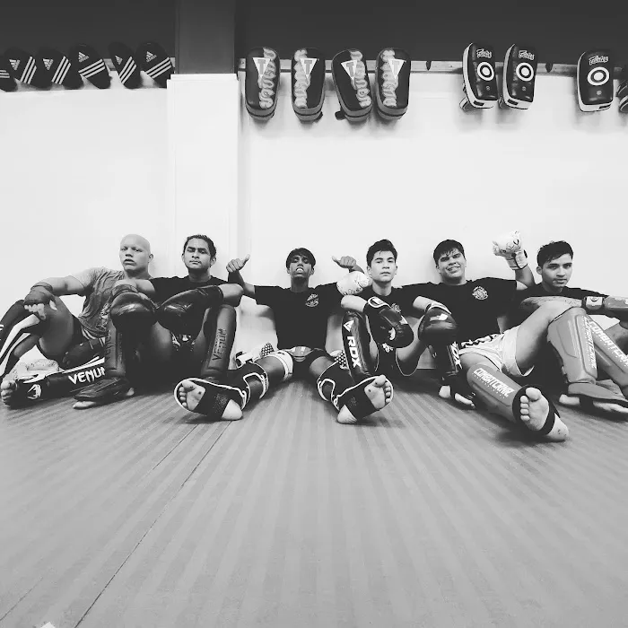 Glory Mixed Martial Arts Picture 7