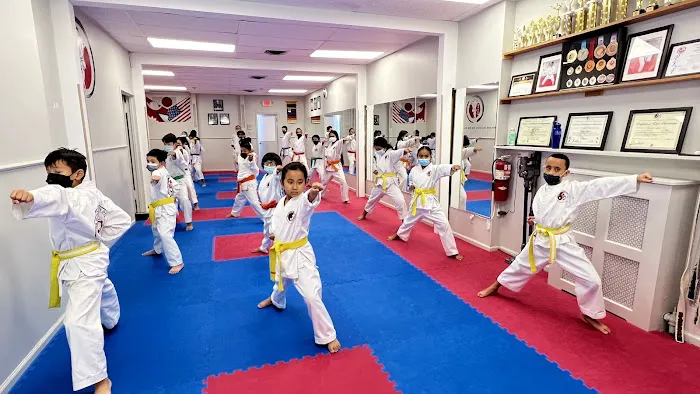 IMA Nihon Karate Do USA Picture 4