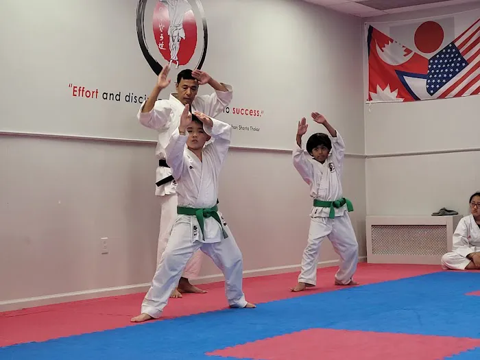 IMA Nihon Karate Do USA Picture 2