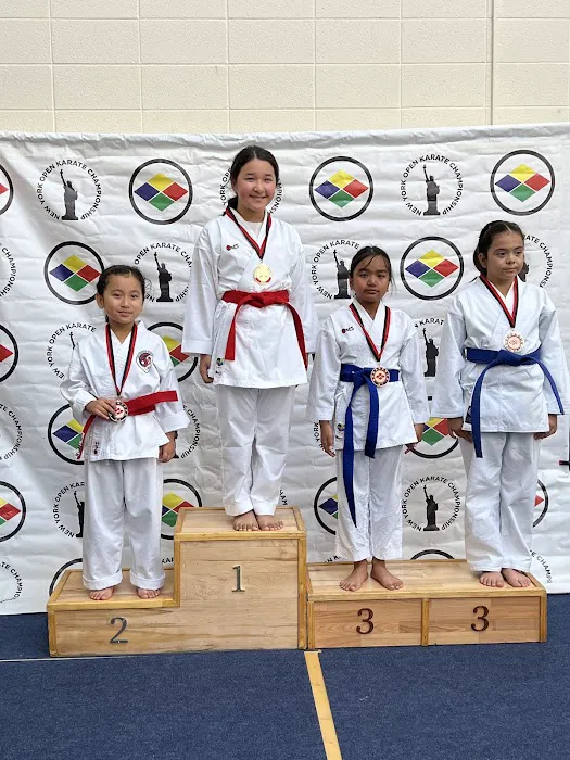 IMA Nihon Karate Do USA Picture 8
