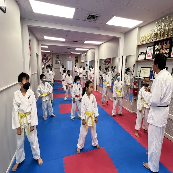 IMA Nihon Karate Do USA Picture 7
