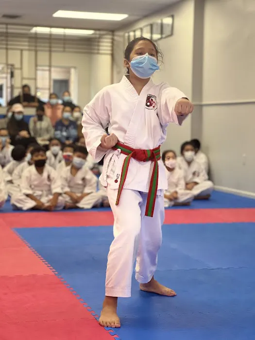 IMA Nihon Karate Do USA Picture 5