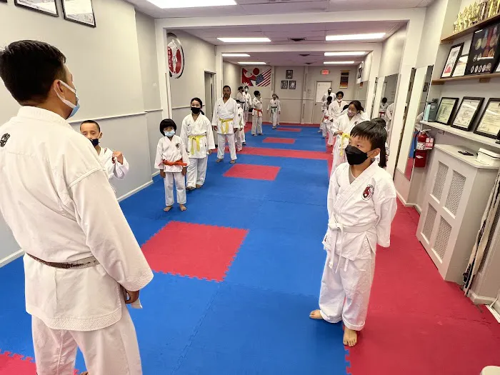 IMA Nihon Karate Do USA Picture 6