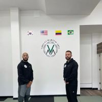 Virtues Martial Arts ico