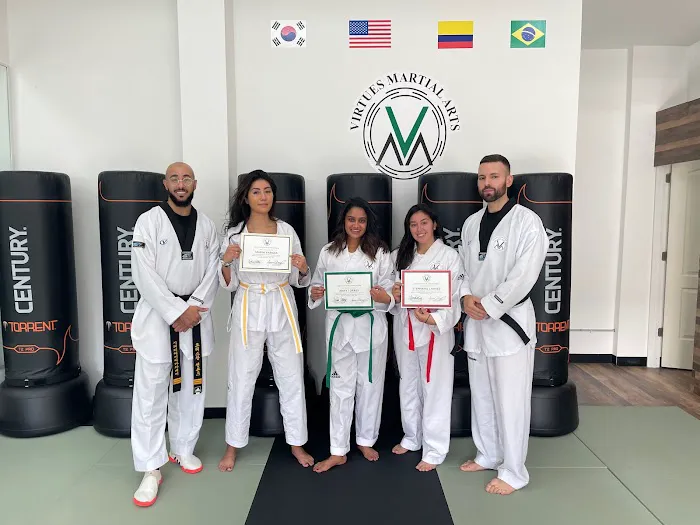 Virtues Martial Arts Picture 4