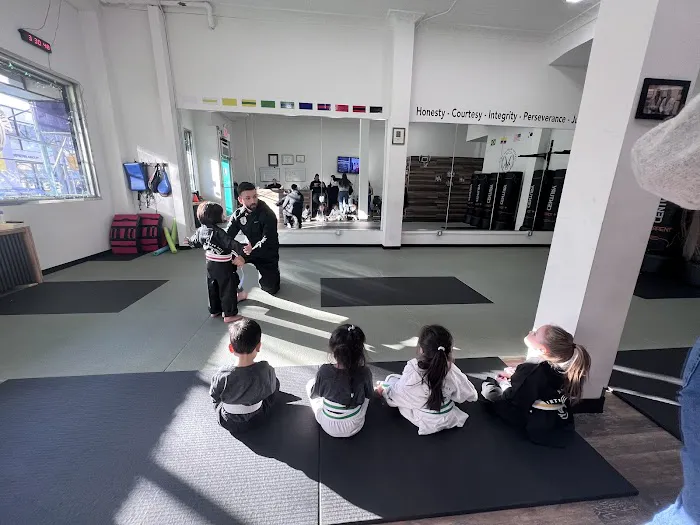 Virtues Martial Arts Picture 5