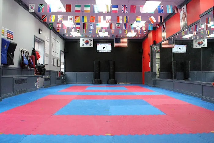 Challenge Taekwondo . Northern Blvd Picture 3