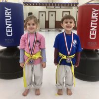 TKV MARTIAL ARTS ico