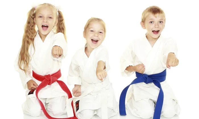 TKV MARTIAL ARTS Picture 3