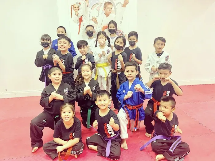 United Taekwondo Center / TMA Kickboxing Picture 3