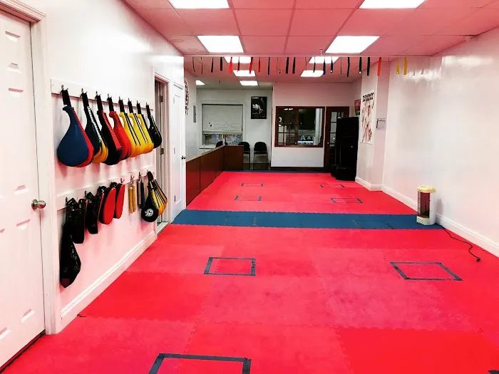 United Taekwondo Center / TMA Kickboxing Picture 7