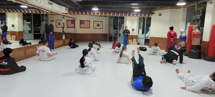 United Xtreme Martial arts, Elmhurst Picture 6