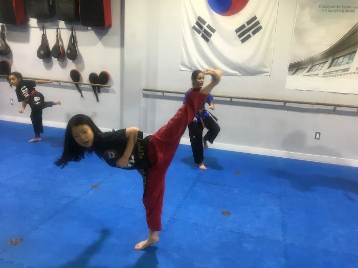 United Taekwondo Northern Blvd Jackson Hts, NY Picture 3