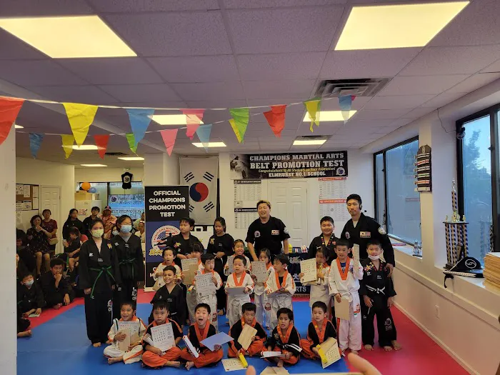 Champions Martial Arts Picture 1