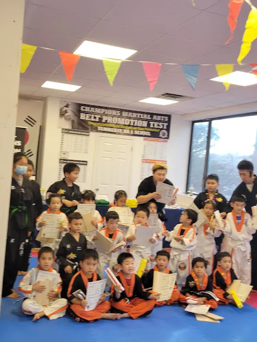 Champions Martial Arts Picture 3