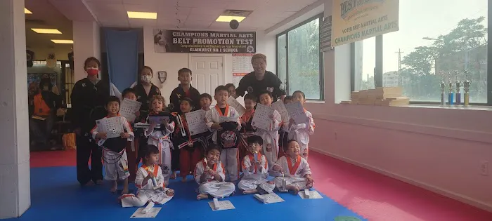 Champions Martial Arts Picture 5