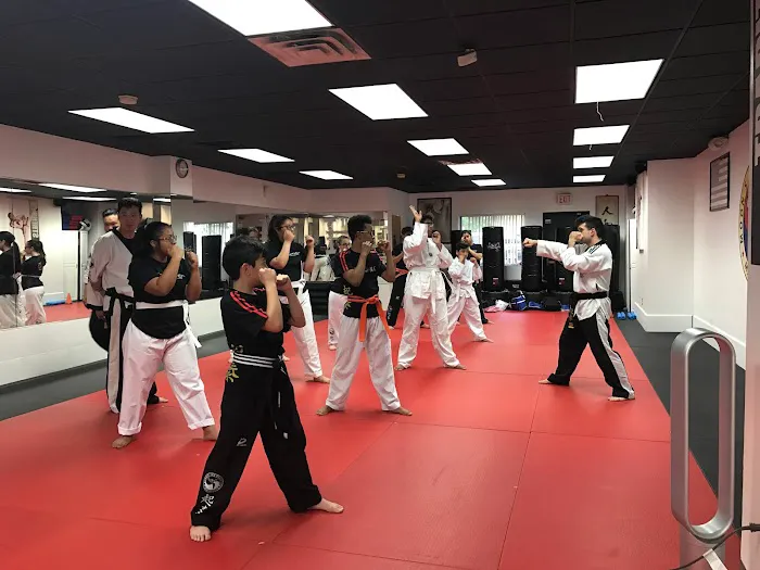 Strong Martial Arts Picture 9