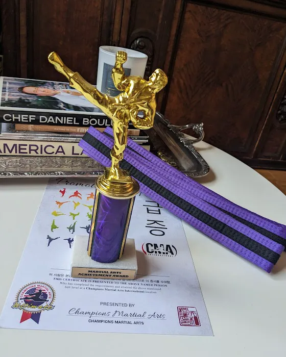 Champions Martial Arts Central Harlem Picture 3