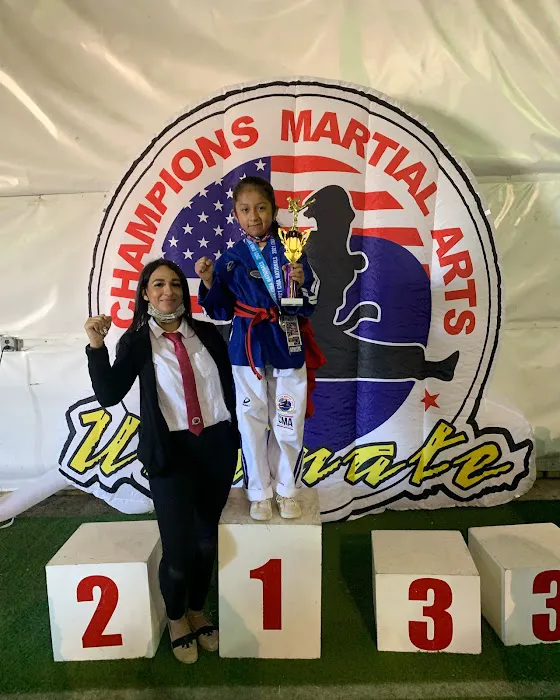 Champions Martial Arts Picture 9