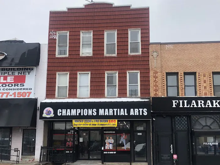 Champions Martial Arts Picture 7