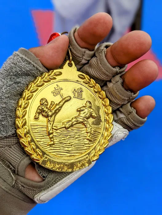 DoMA Taekwondo Picture 4