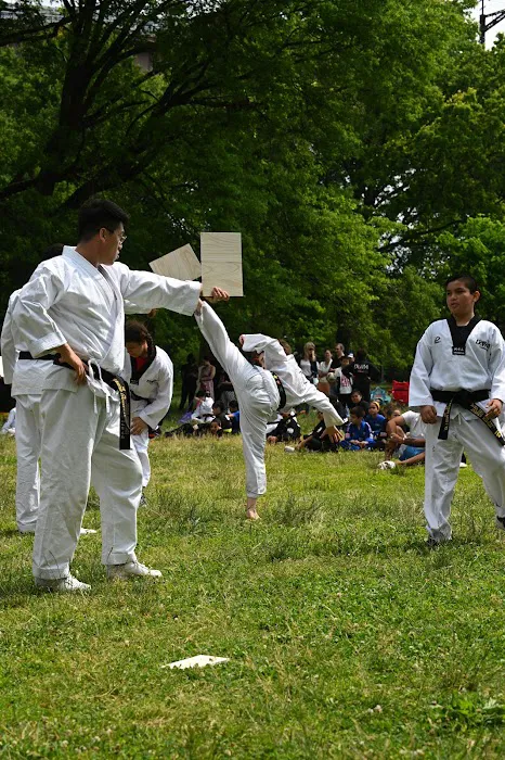 DoMA Taekwondo Picture 10