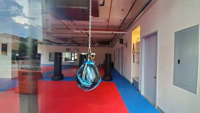 Pulse TaeKwondo Center Picture 1