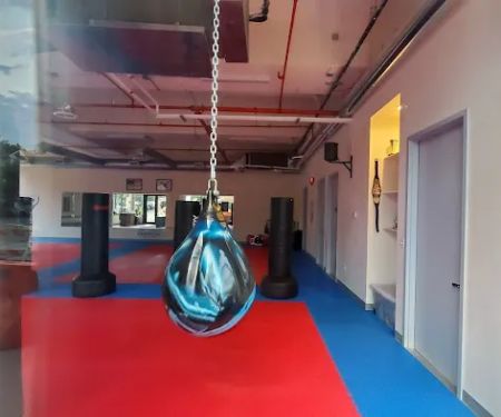 Pulse TaeKwondo Center