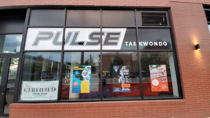 Pulse TaeKwondo Center Picture 2