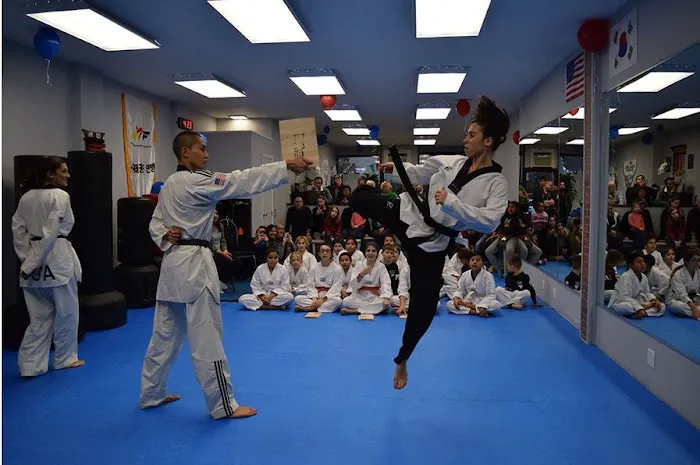 Pulse TaeKwondo Center Picture 9