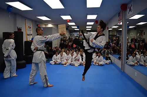 Pulse TaeKwondo Center Picture 8