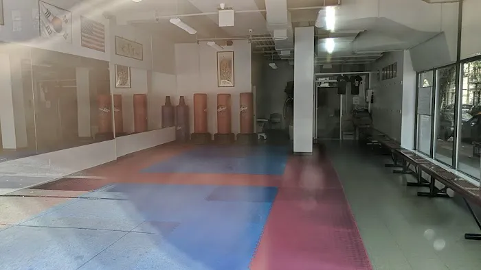West Side Tae Kwon DO Picture 1