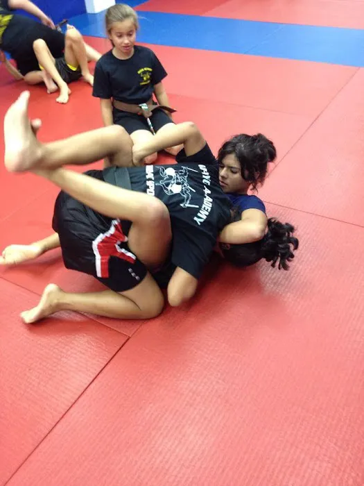 Mayo Kickboxing & MMA Academy Picture 3