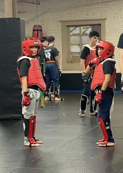 Mayo Kickboxing & MMA Academy Picture 5